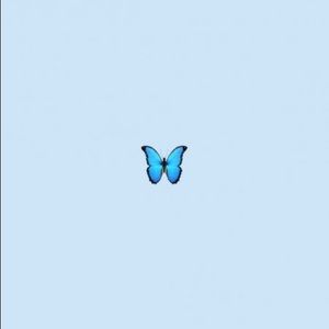 Meet your Posher, Leonor